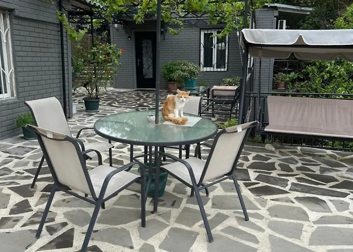 Apartment Lui